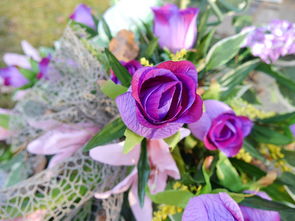 花的雙重性質 從自然之美到文化象征