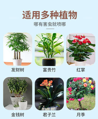 太陽(yáng)能計(jì)算機(jī)軟件科技革新 家用綠植養(yǎng)護(hù)新選擇